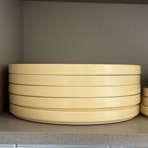 Crate&Barrel Molly Baz Set of 6 Dinner Plates